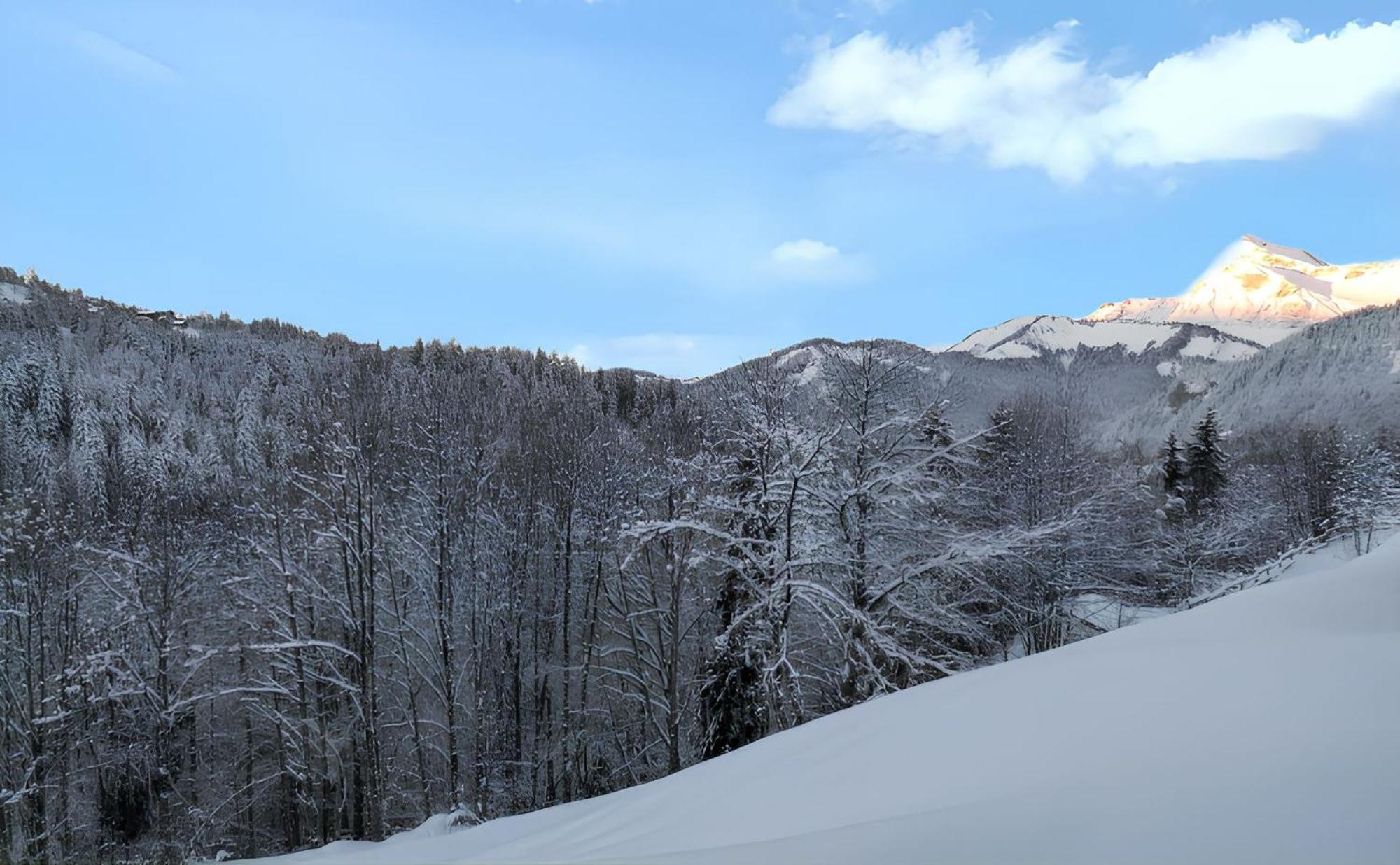 Appartement Confortable Avec Vue Sur La Montagne Notre-Dame-de-Bellecombe Buitenkant foto